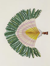 Les Ottomans Peacock Coffee Table