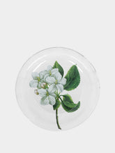 Astier de Villatte Apple Blossom Platter