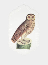 Astier de Villatte Platter Owl