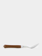 Capdeco Pluton coffee spoon