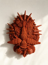 Natalia Brilli Terracotta Moto Raffia Medium Decorative Mask