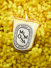 Diptyque Mimosa candle 70g