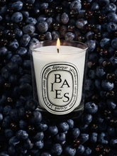 Diptyque Baies Candle 70g