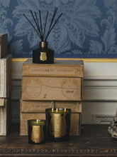 Trudon Le Diffuseur Ernesto 350 ml