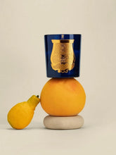 Trudon Salta Luxury Grapefruit Candle 270gr