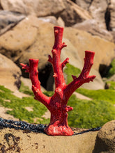 Bordallo Pinheiro Coral Ceramic Candelabrum