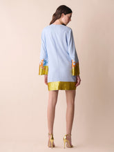 Paula Hydra A-Line Embroidered Mini Dress