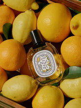 Diptyque L