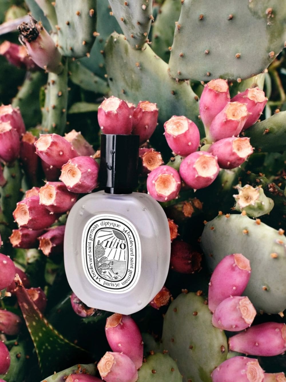 Diptyque Ilio Hair Mist 30ml | Fashion Clinic
