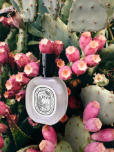 Diptyque Ilio Hair Mist 30ml