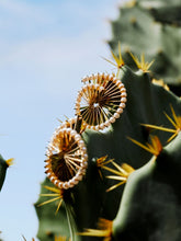 Gold Spiral Brass Earrings