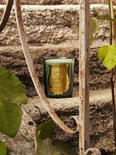 Trudon Figuerie Scented Candle 800gr