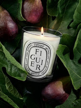 Diptyque Figuier Classic Candle 190gr