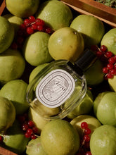 Diptyque Ilio Eau de Toilette 100ml