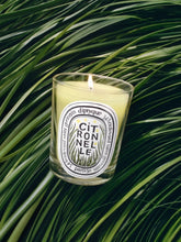 Diptyque Citronnelle (Lemongrass) Classic Candle 190gr - Limited Edition