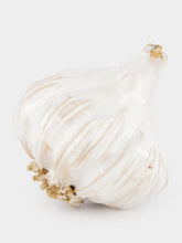 Studio Bongard Small Garlic Sculpture