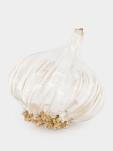 Studio Bongard Small Garlic Sculpture