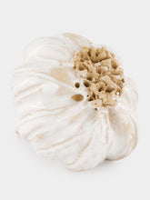 Studio Bongard Small Garlic Sculpture