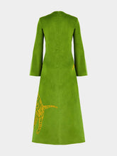 Paula Selene Garden Green Velvet Dress