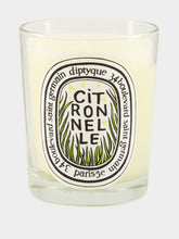 Diptyque Citronnelle (Lemongrass) Classic Candle 190gr - Limited Edition