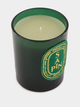 Diptyque Sapin Candle 70gr