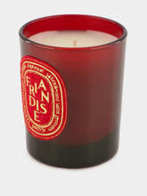 Diptyque Holiday Candle Trio 70gr