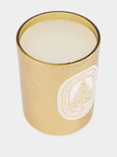Sapin Golden Fir Scented Candle 70gr | HP - Fashion Clinic