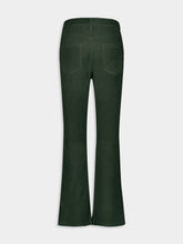Paula Zircon Suede Green Flared Pants