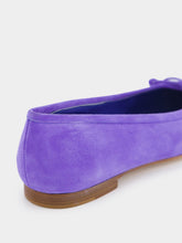 Manolo Blahnik Veralli Flat Suede Ballerinas