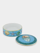 Ginori 1735 Il Viaggio Di Nettuno Trinket Box