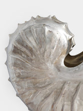 Leitão & Irmão Silver Argonaut Shell Sculpture