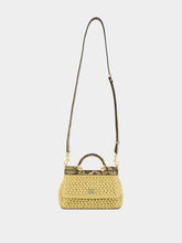 Dolce & Gabbana Raffia Python Small Sicily Bag