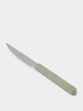 Sabre Paris Asparagus Green Dinner Knife