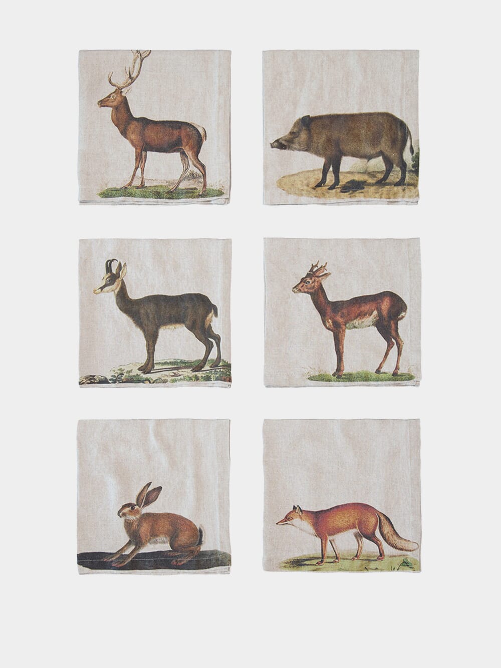 Set of 6 Wild Animal Napkins