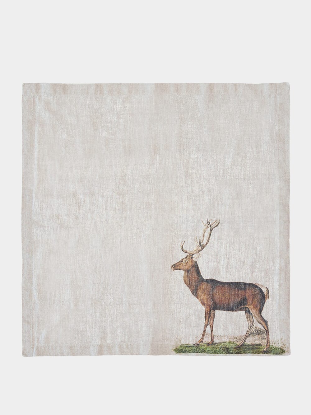 Set of 6 Wild Animal Napkins