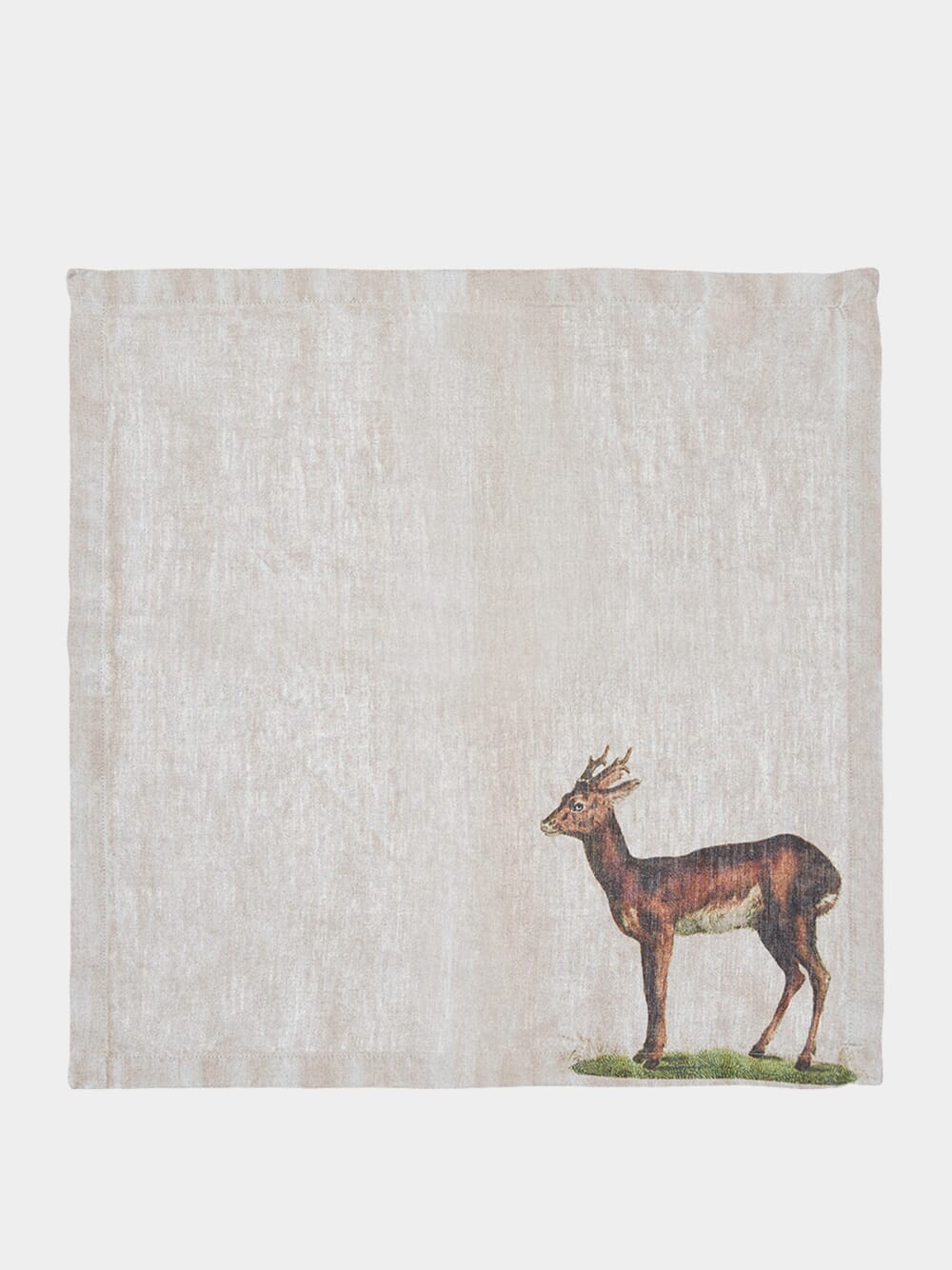 Set of 6 Wild Animal Napkins