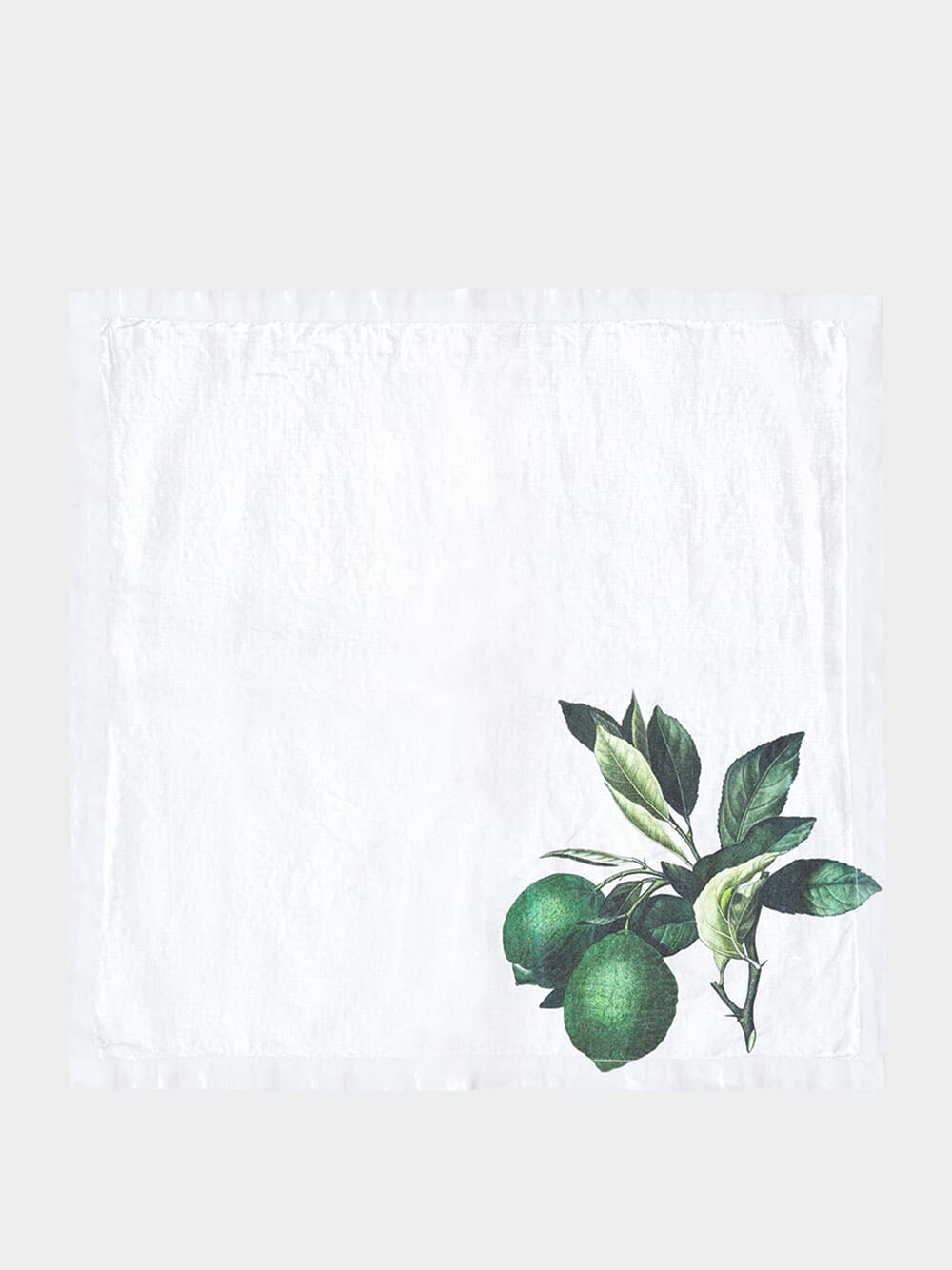 Set of 6 Citrus Napkins