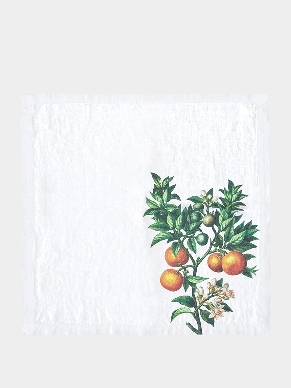 Set of 6 Citrus Napkins