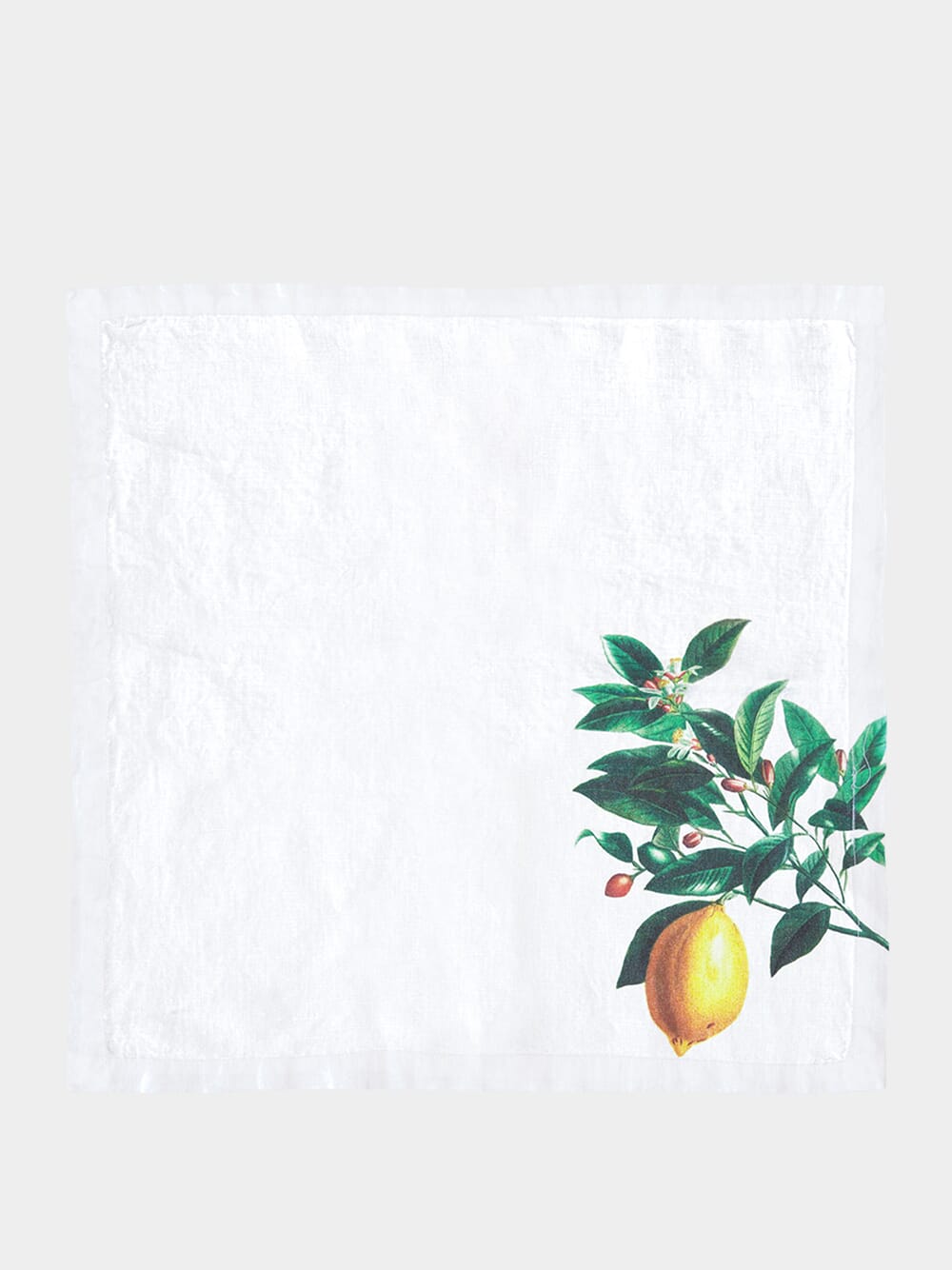 Set of 6 Citrus Napkins