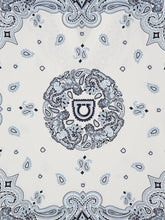 Ferragamo Sky Blue Arabesque Silk Poncho