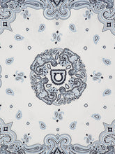 Ferragamo Sky Blue Arabesque Silk Poncho
