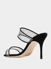 Manolo Blahnik Invymu pumps