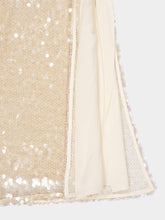 Altuzarra Macadamia Sequin-Embellished Linnei Skirt