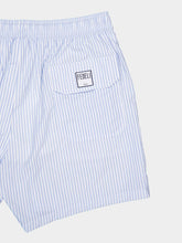 Fedeli Light Blue Striped Swim Shorts