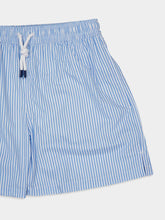 Fedeli Blue Stripe Madeira Sakar Stamp Woven Swim Shorts