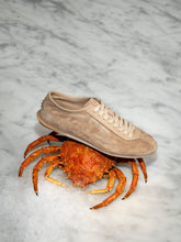 Dolce & Gabbana Beige Lipari Suede Sneakers
