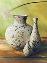 Ginori 1735 Florenza Acanto Green Spherical Vase