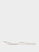 House of Capricorn Corte Real Silver Stainless Steel 18/10 Fish Knife