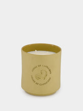 House of Capricorn Aurora - Handmade Scented Candle