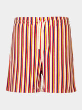 Valentino Garavani Orange and Brown Striped Viscose Shorts